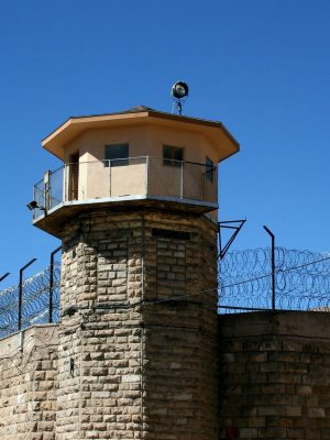 PCG-scaled.jpg